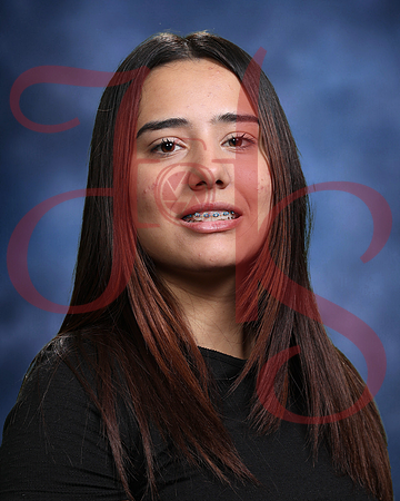 SH29-0420