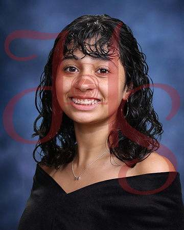 FR25-3219