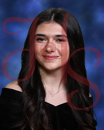 AHS24-0128