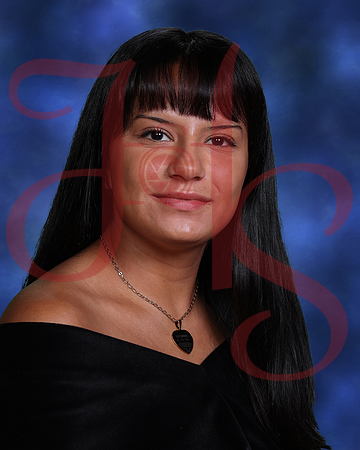 AHS24-0090