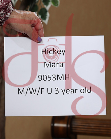 FT102324-0005