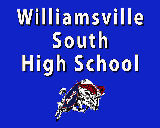 Williamsville South
