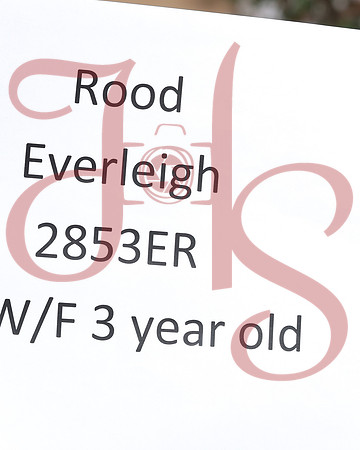 FTTH26-0210