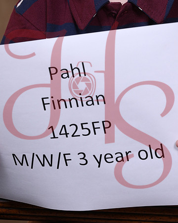 FTW26-0220