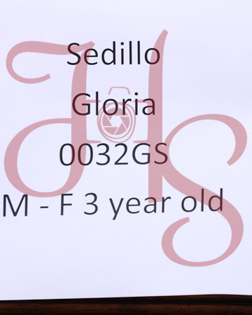 FTTH26-0139