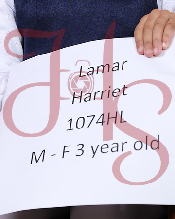 FTTH26-0224