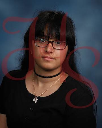 AHS22-0477