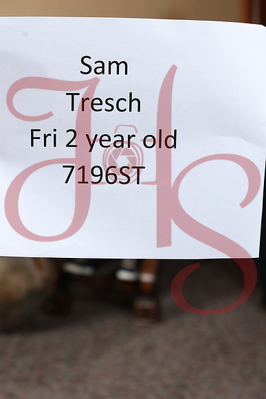FR23-FRI-0010