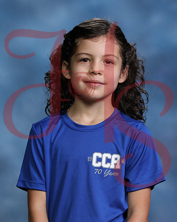 CCA-CP-111