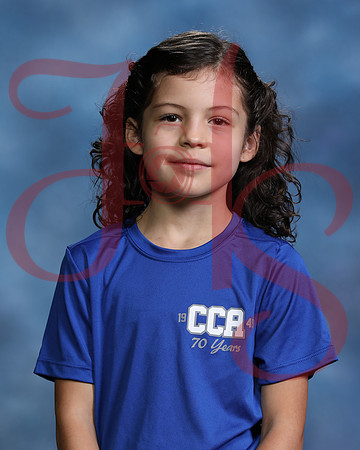 CCA-CP-110